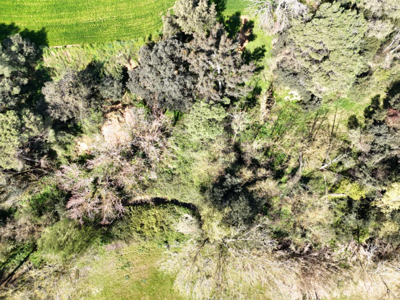 1238 - Preciosa finca  en una una de las mejores zonas de la provincia de BArcelona