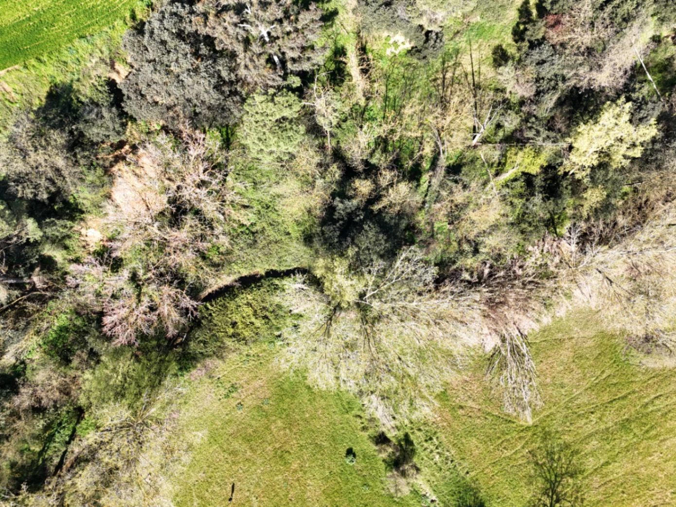 1238 - Preciosa finca  en una una de las mejores zonas de la provincia de BArcelona