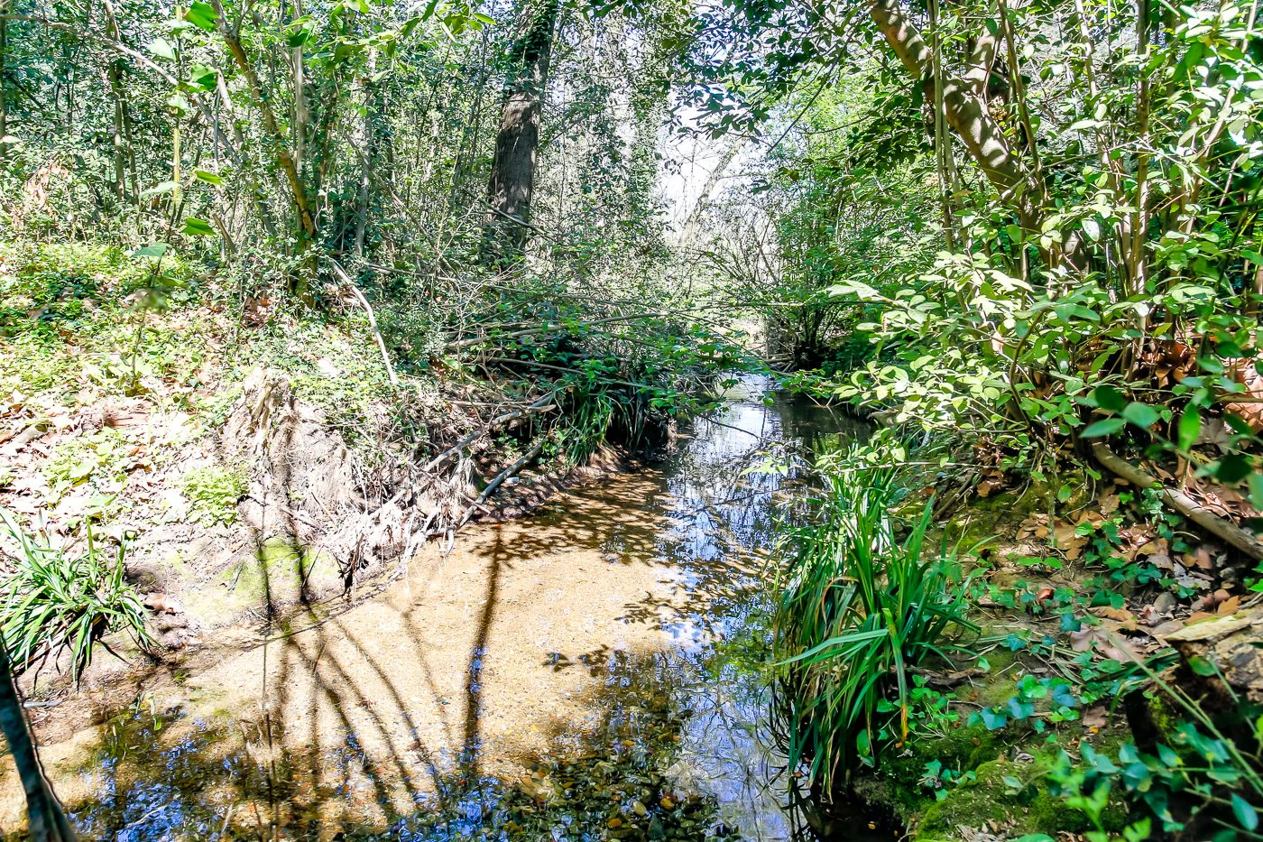 1238 - Preciosa finca  en una una de las mejores zonas de la provincia de BArcelona