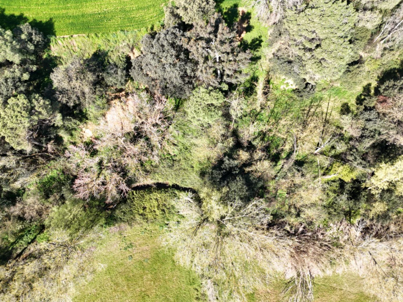 1238 - Preciosa finca  en una una de las mejores zonas de la provincia de BArcelona