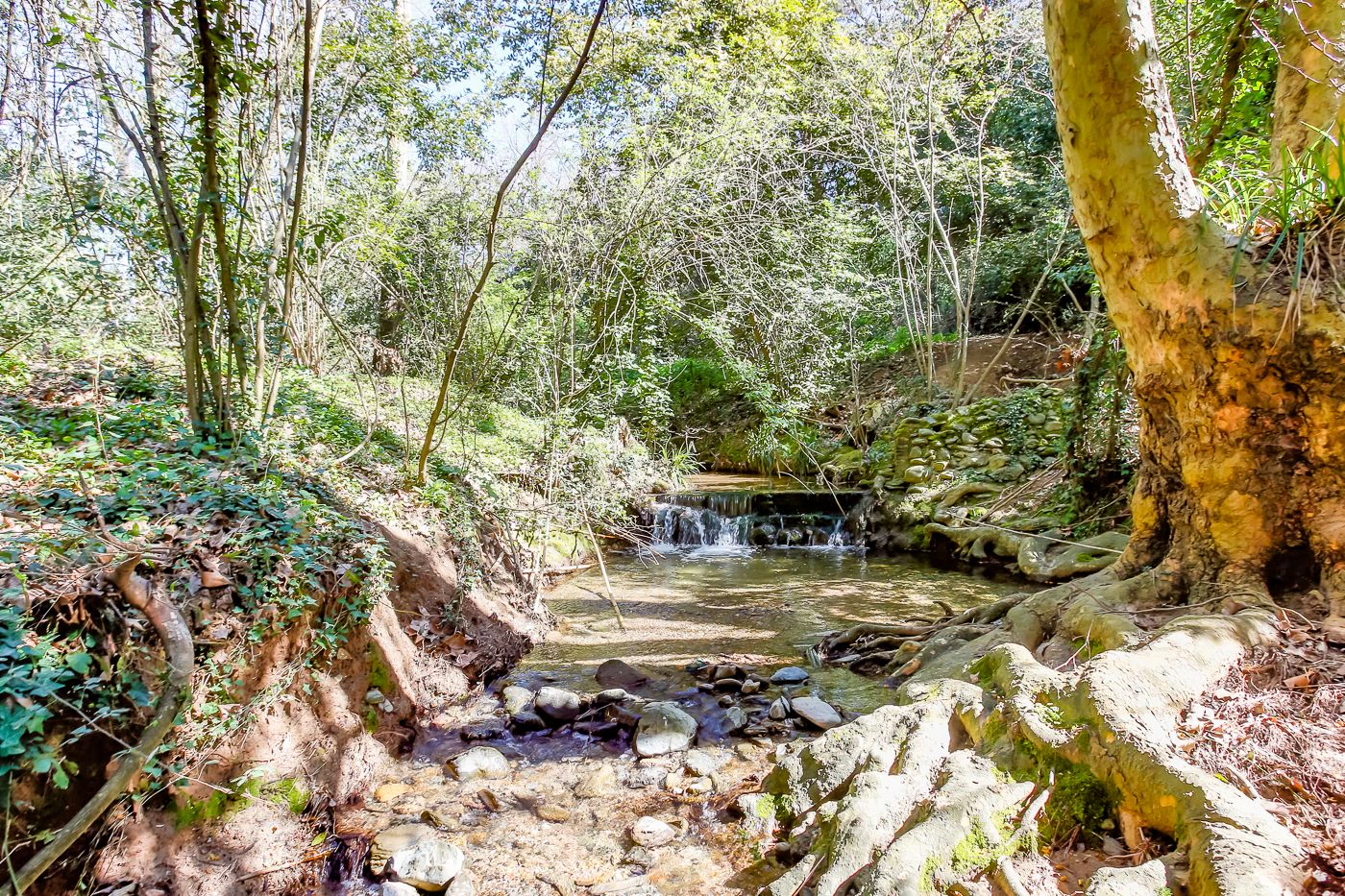 1238 - Preciosa finca  en una una de las mejores zonas de la provincia de BArcelona