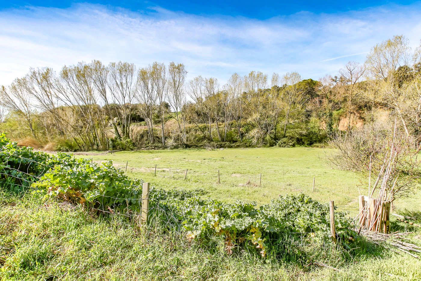1238 - Preciosa finca  en una una de las mejores zonas de la provincia de BArcelona