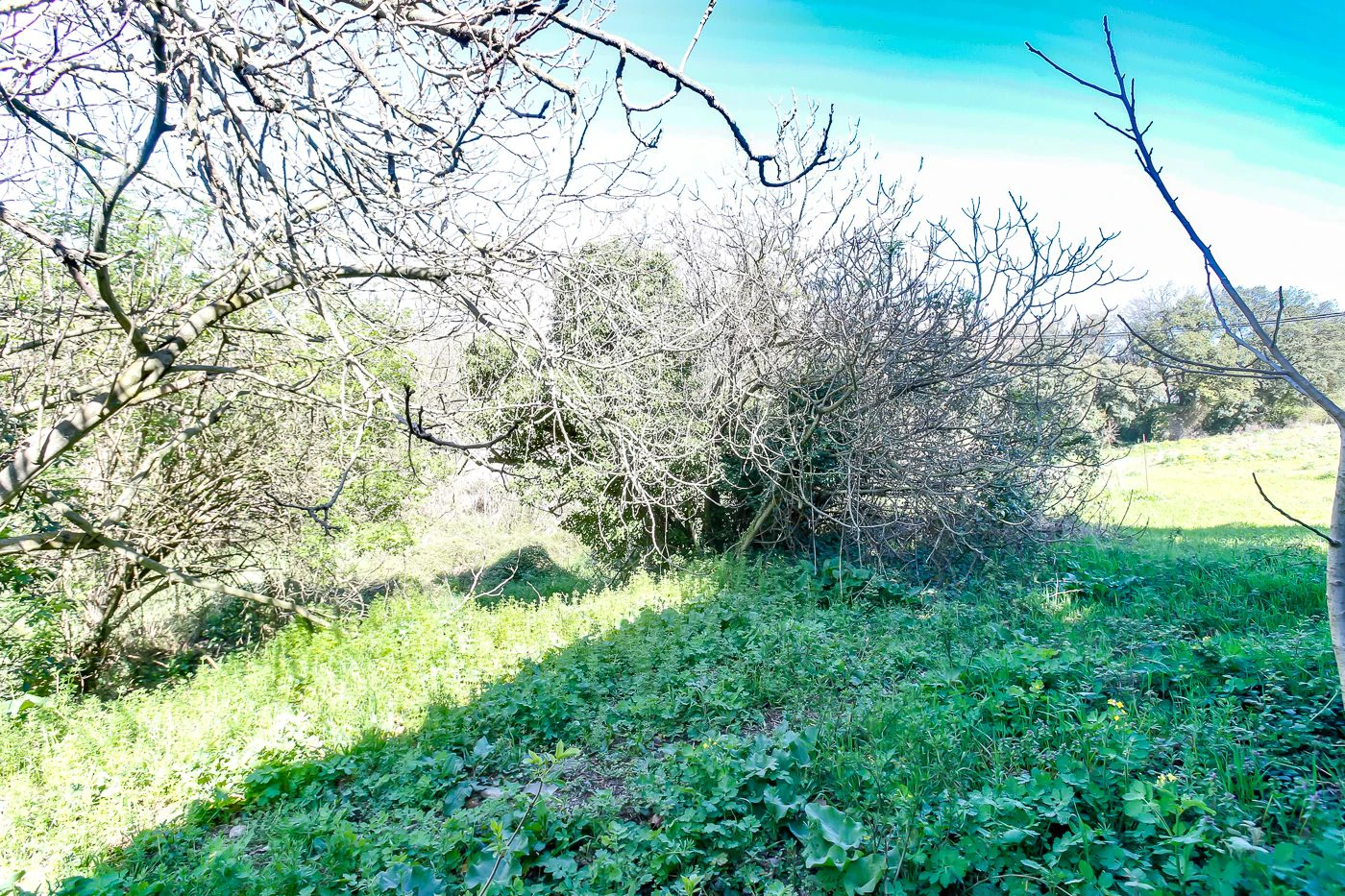 1238 - Preciosa finca  en una una de las mejores zonas de la provincia de BArcelona
