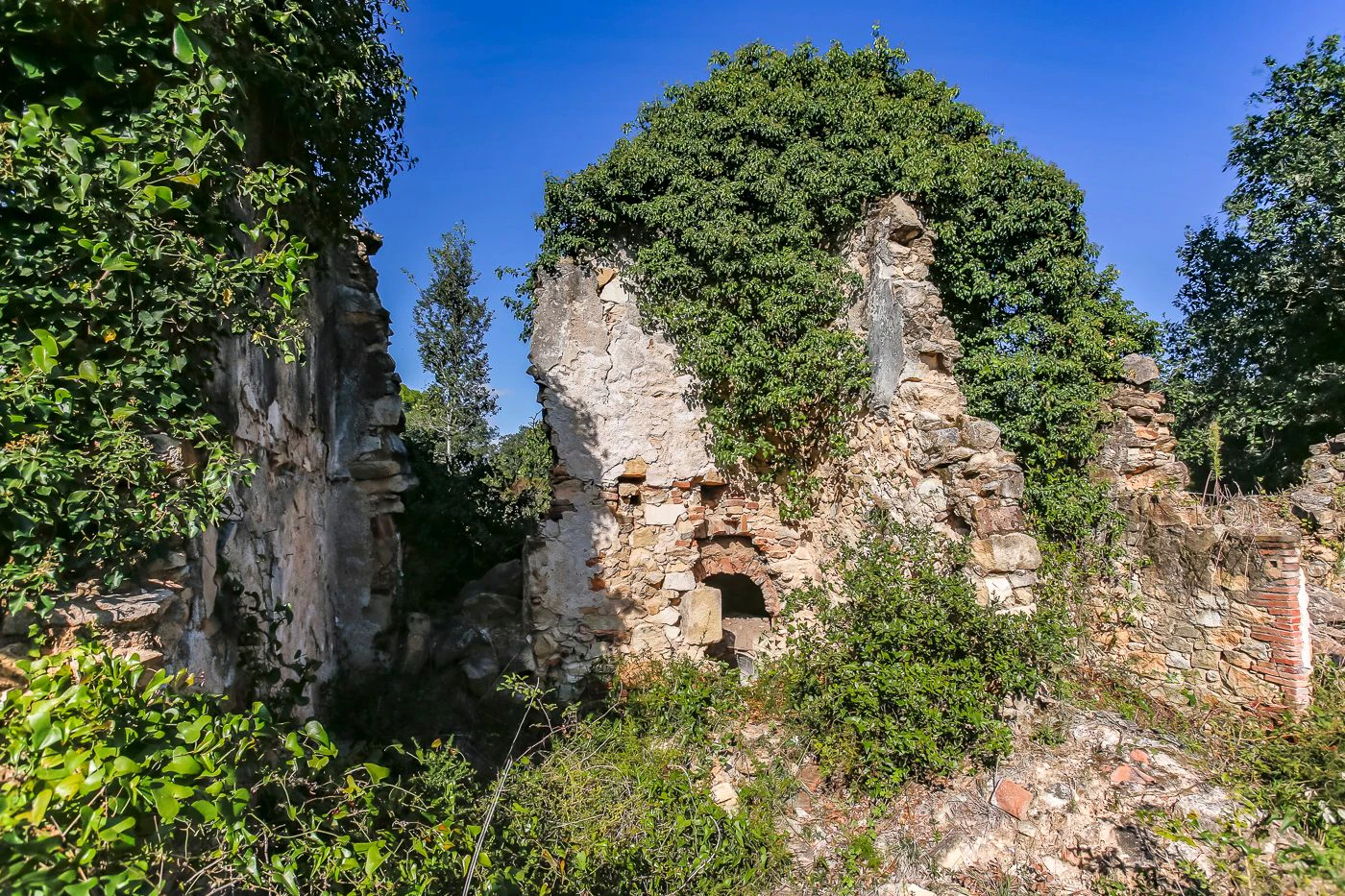 2172 - Masía en ruinas con posibilidad de edificar 250 m2 de vivienda