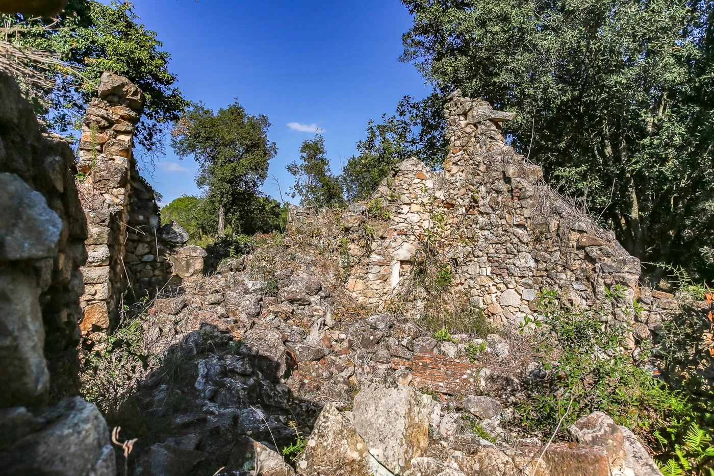 2172 - Masía en ruinas con posibilidad de edificar 250 m2 de vivienda