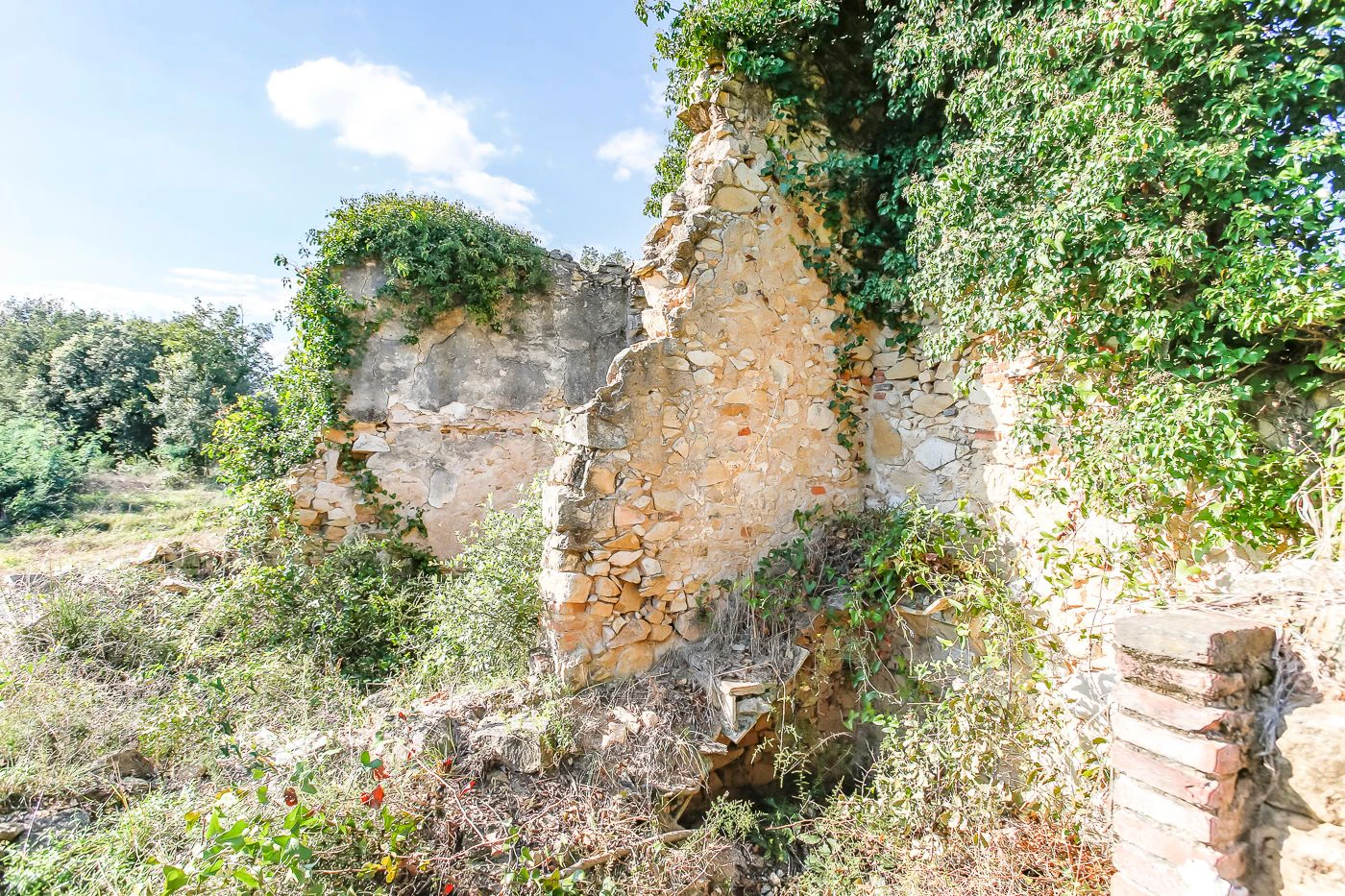 2172 - Masía en ruinas con posibilidad de edificar 250 m2 de vivienda