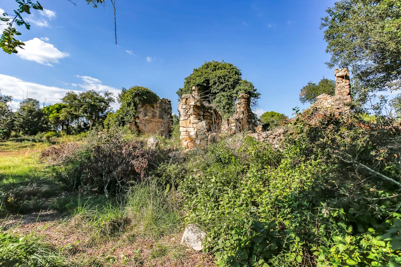 2172 - Masía en ruinas con posibilidad de edificar 250 m2 de vivienda