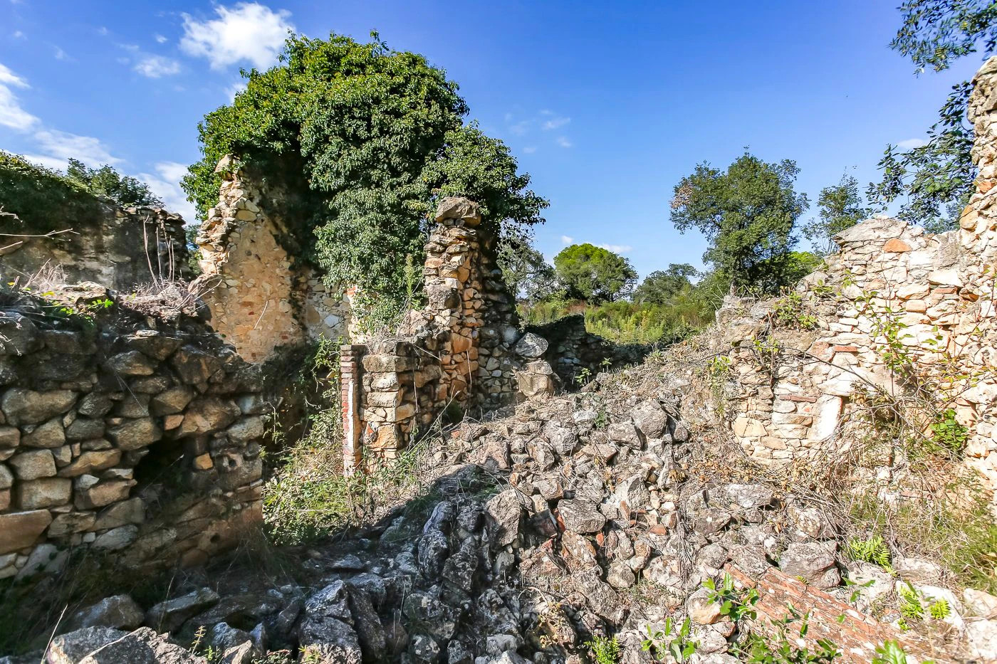 2172 - Masía en ruinas con posibilidad de edificar 250 m2 de vivienda