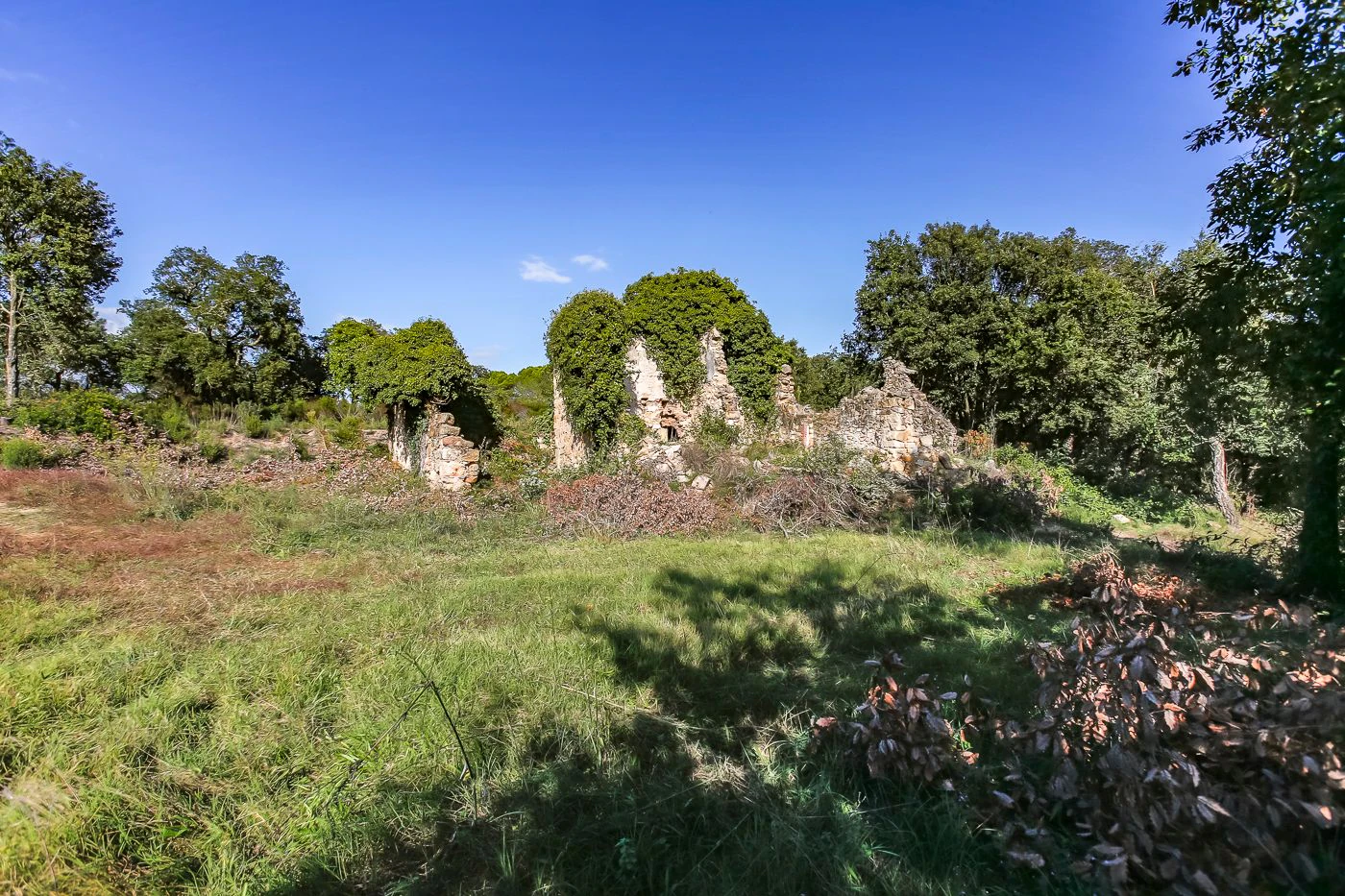 2172 - Masía en ruinas con posibilidad de edificar 250 m2 de vivienda