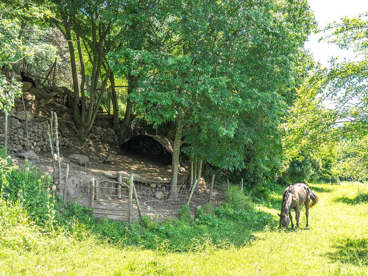 9852 - Masía con encanto en la Garrotxa con licencia de turismo rural