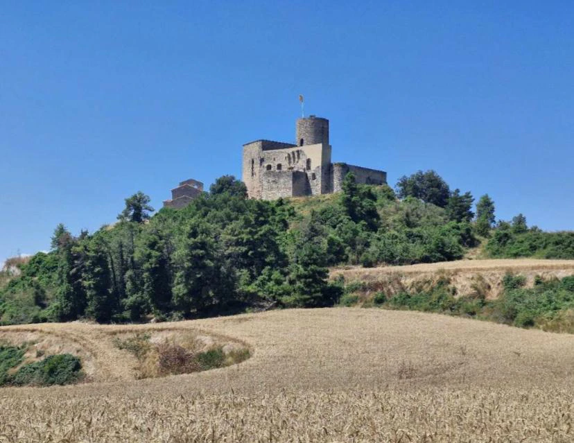 8098 - Finca rurale avec charme à Sant Pere Sallavinera – 111 hectares de nature et d'histoire