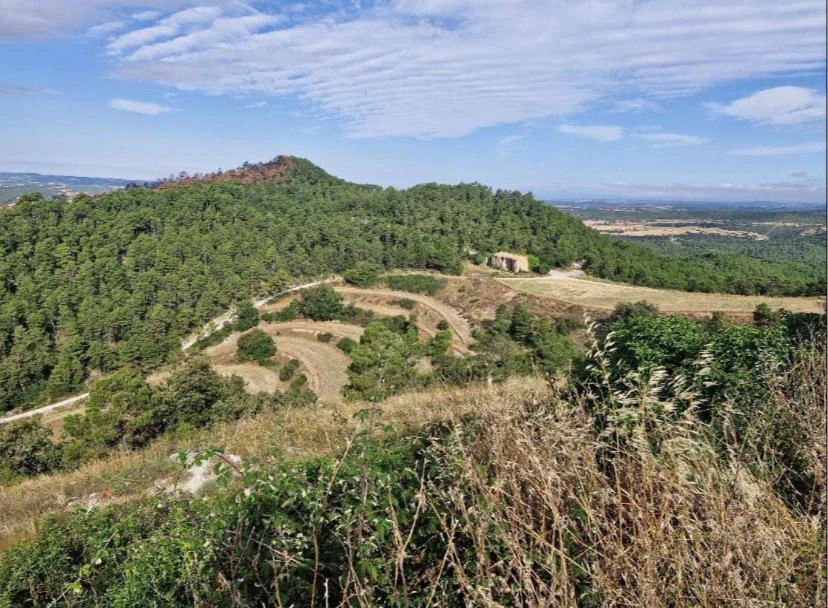 8098 - Finca rurale avec charme à Sant Pere Sallavinera – 111 hectares de nature et d'histoire