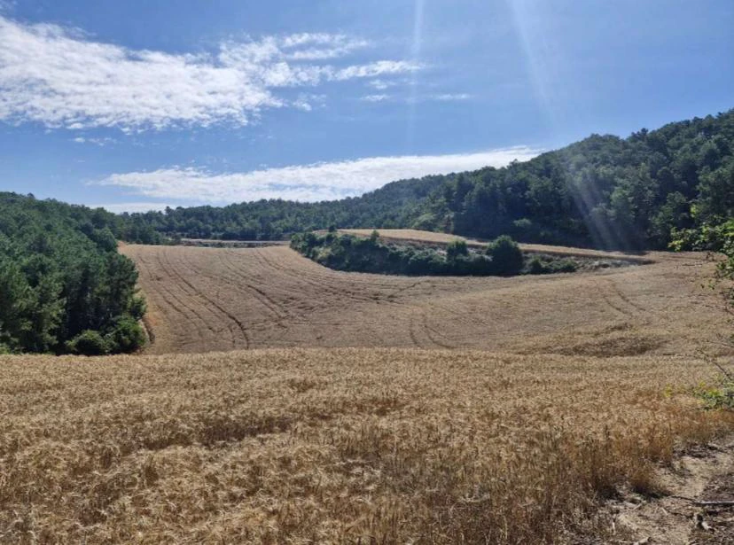8098 - Finca rurale avec charme à Sant Pere Sallavinera – 111 hectares de nature et d'histoire