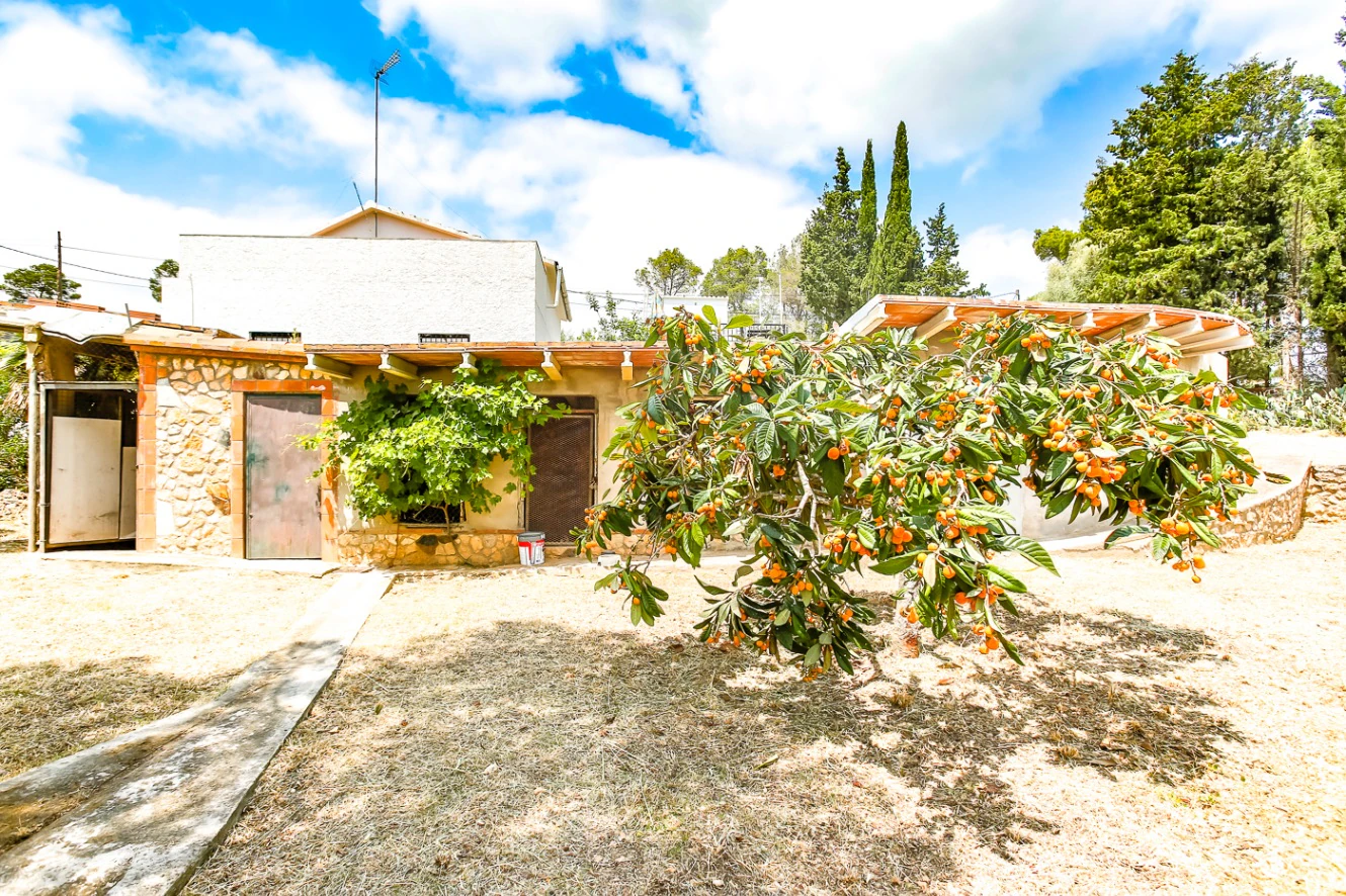7329 - Casa de campo en venta en Avinyonet del Penedés