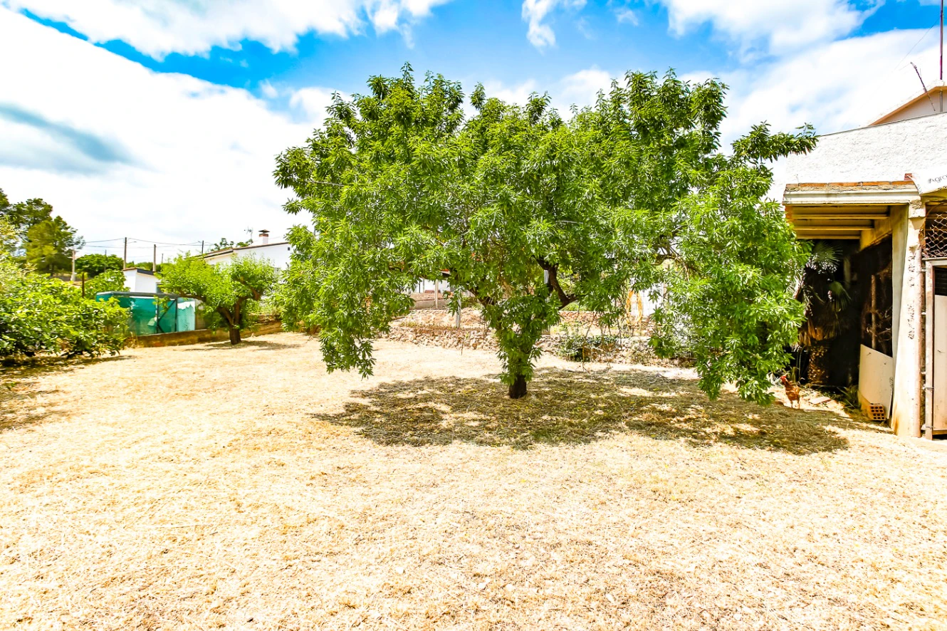 7329 - Casa de campo en venta en Avinyonet del Penedés