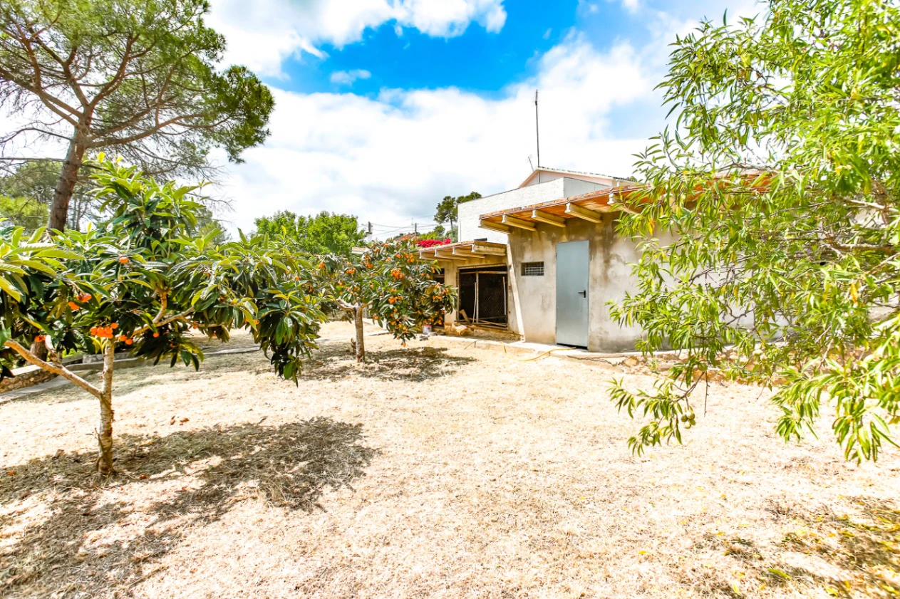 7329 - Casa de campo en venta en Avinyonet del Penedés