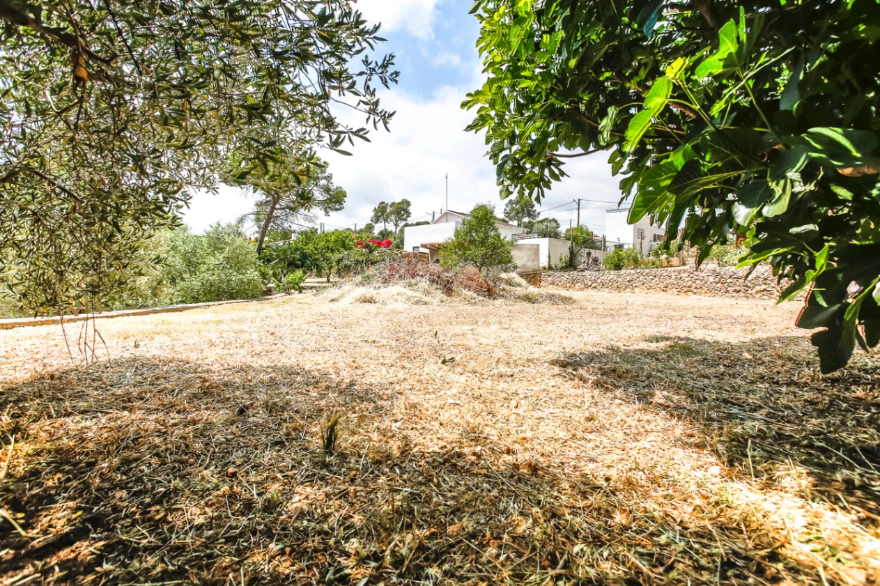 7329 - Casa de campo en venta en Avinyonet del Penedés