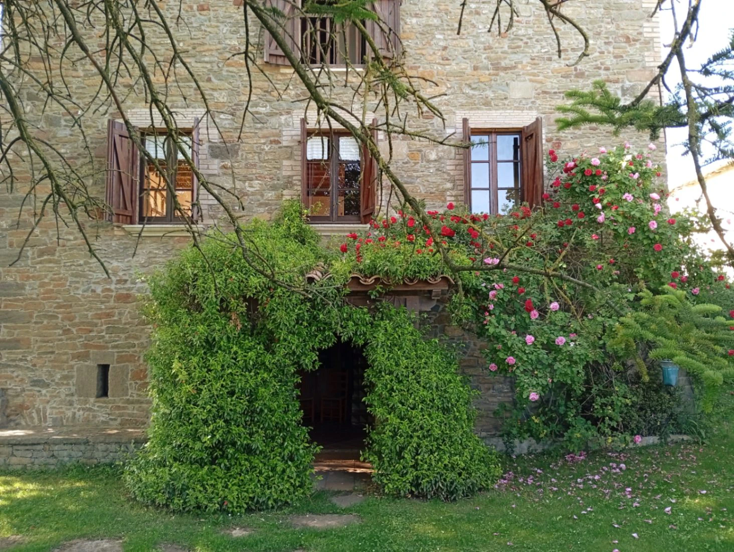 2239 - Masía rehabilitada en Rupit