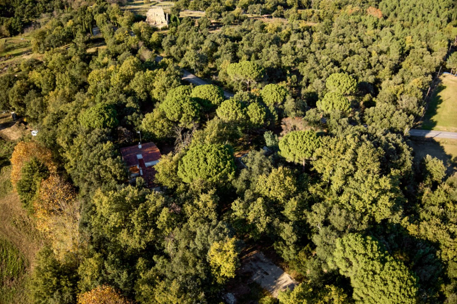 9249 - Masia à vendre à Breda