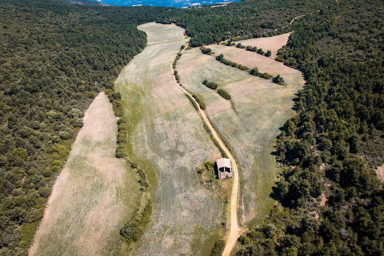 Finca con 350 hectáreas y varias construcciones
