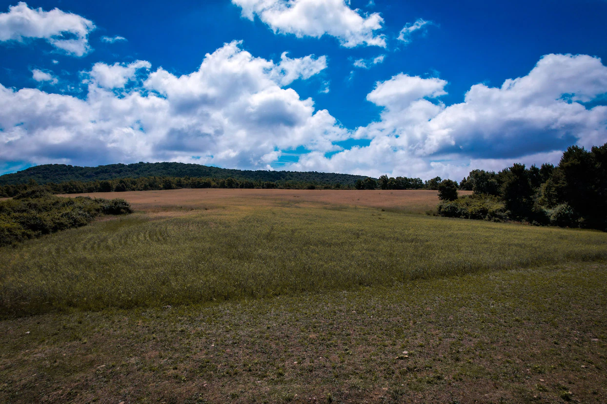 Finca con 350 hectáreas y varias construcciones