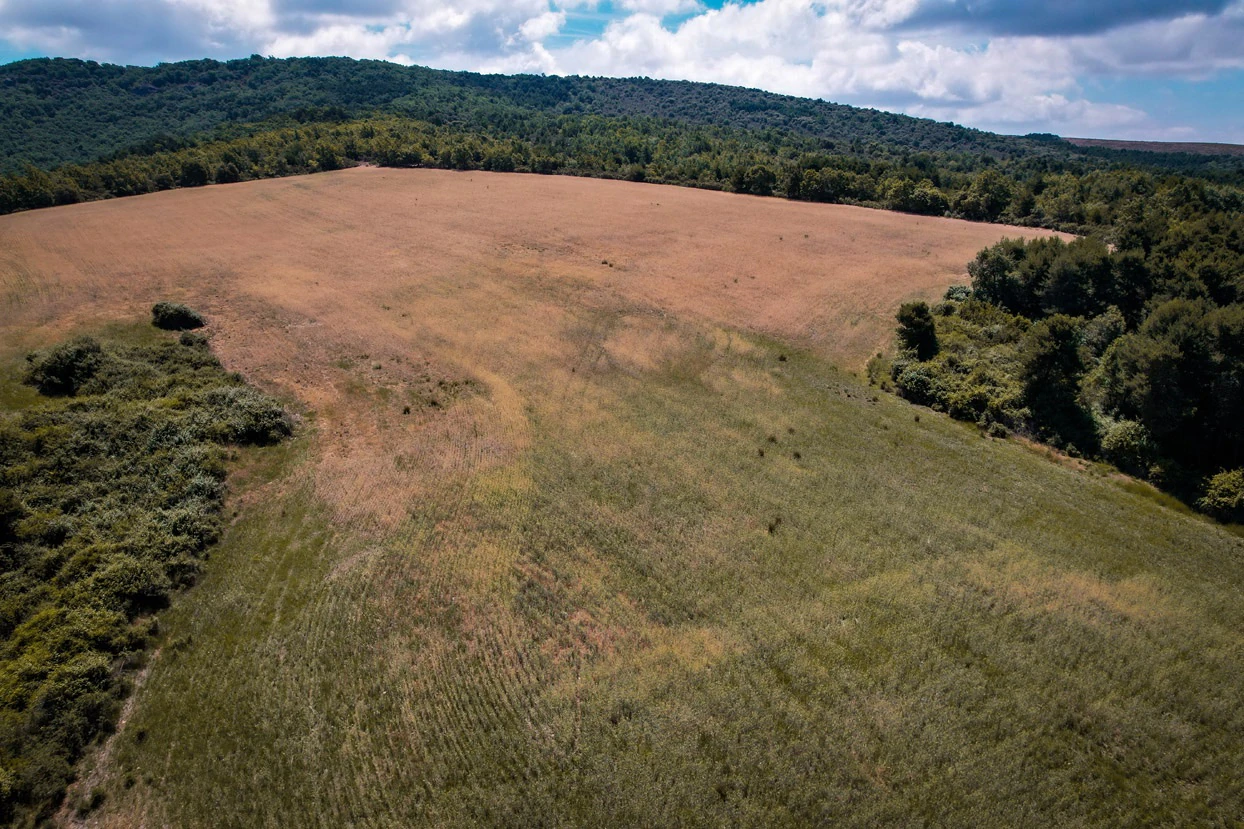 Finca con 350 hectáreas y varias construcciones
