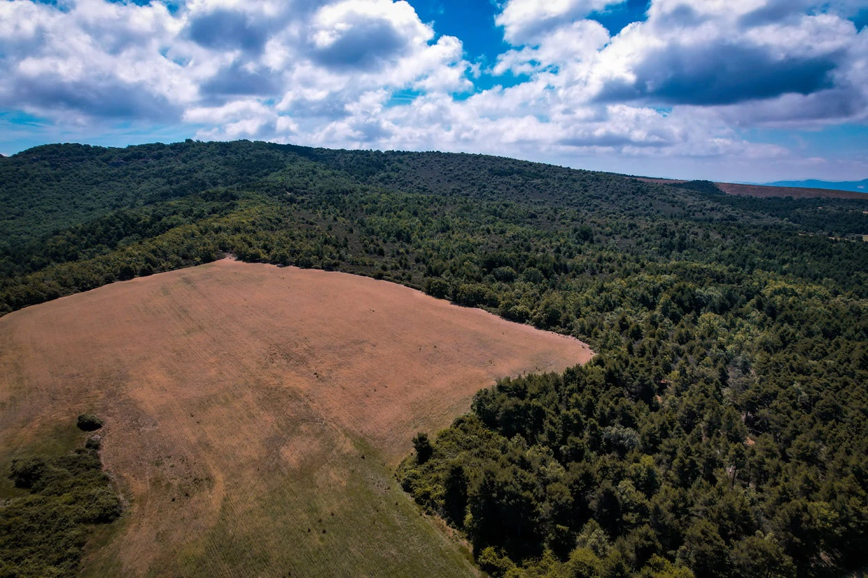Finca con 350 hectáreas y varias construcciones