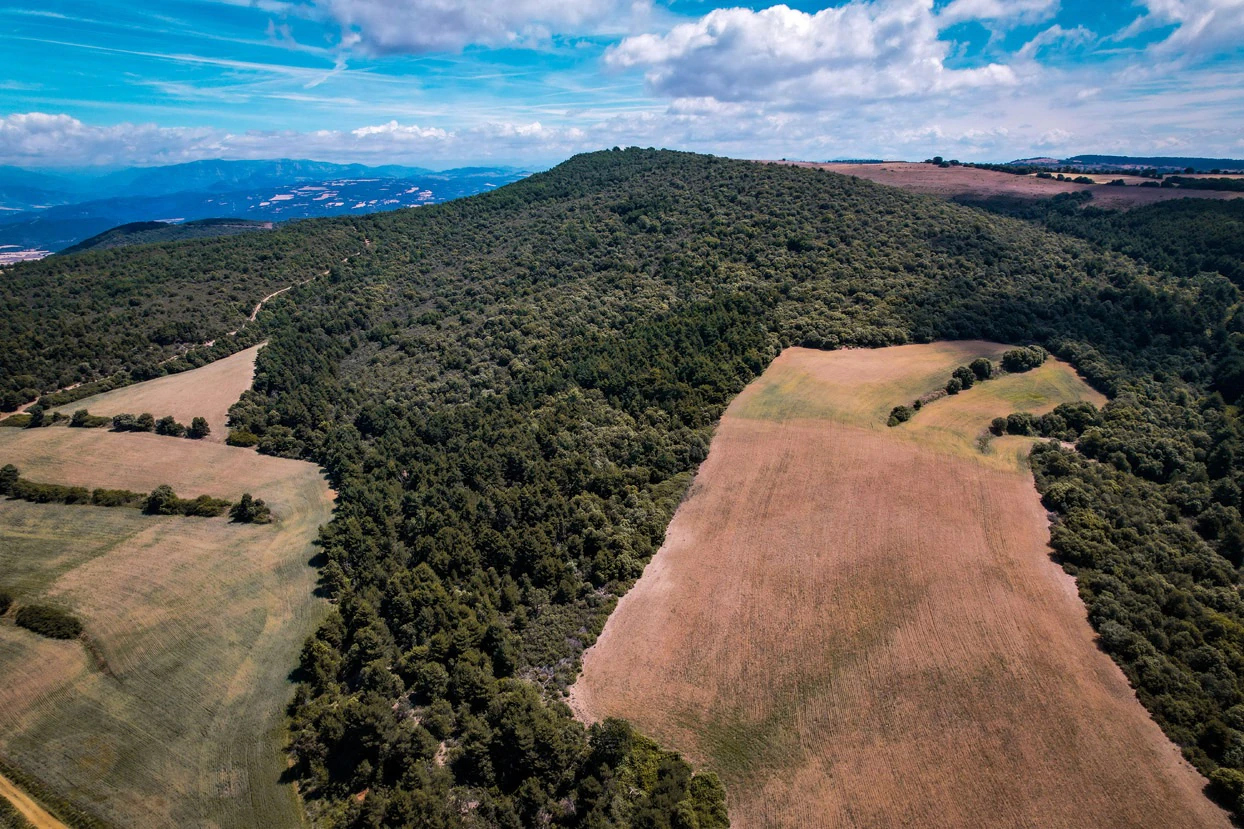 Finca con 350 hectáreas y varias construcciones