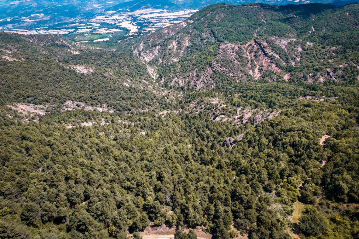 Finca con 350 hectáreas y varias construcciones
