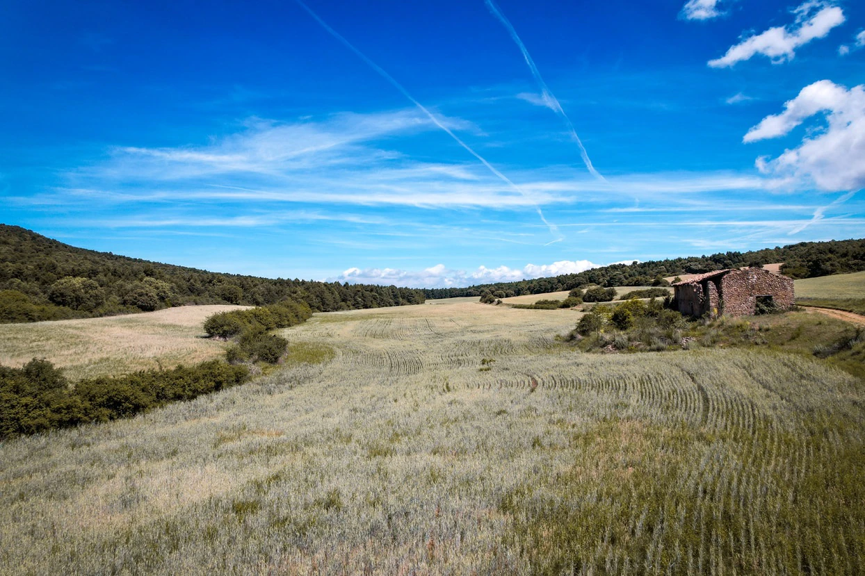 Finca con 350 hectáreas y varias construcciones