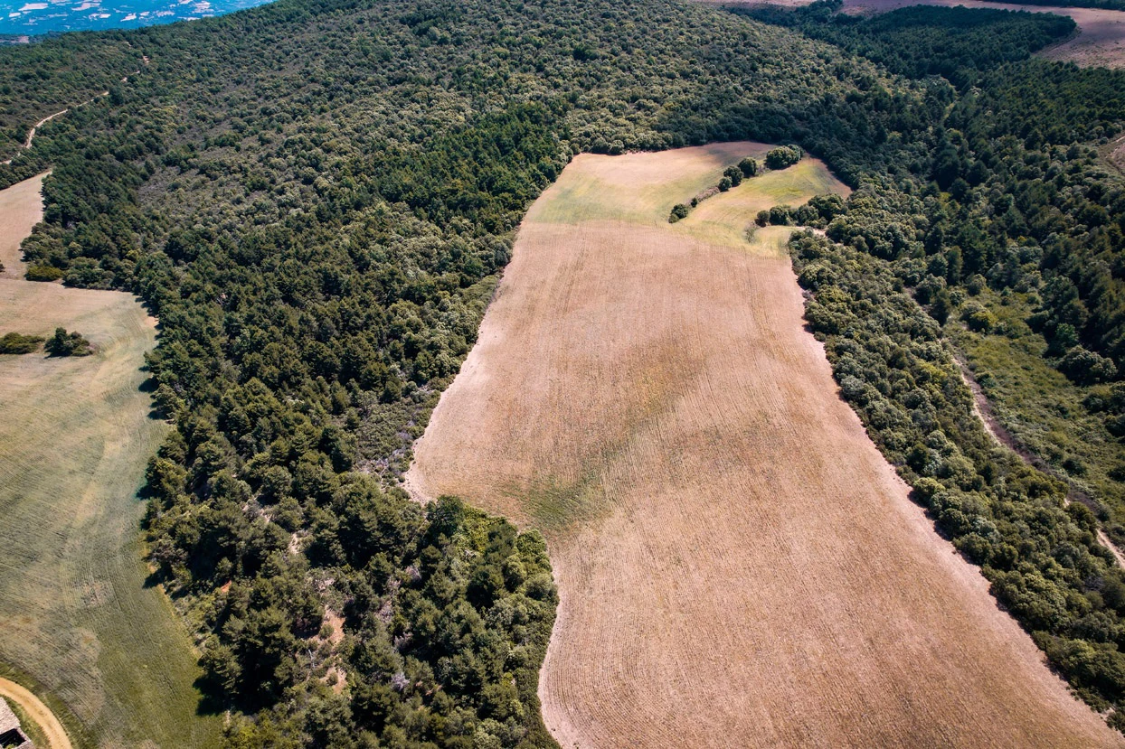 Finca con 350 hectáreas y varias construcciones