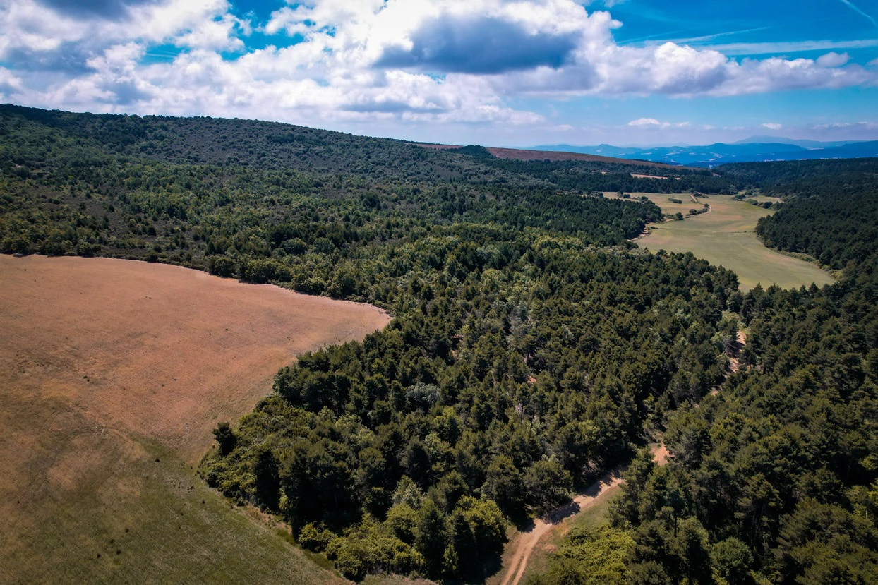 Finca con 350 hectáreas y varias construcciones