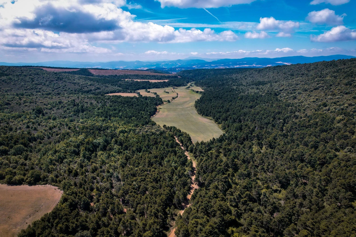 Finca con 350 hectáreas y varias construcciones