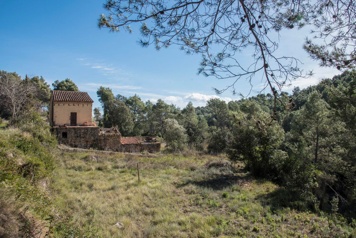 1527 - Masía en venta en el Pla de Manlleu