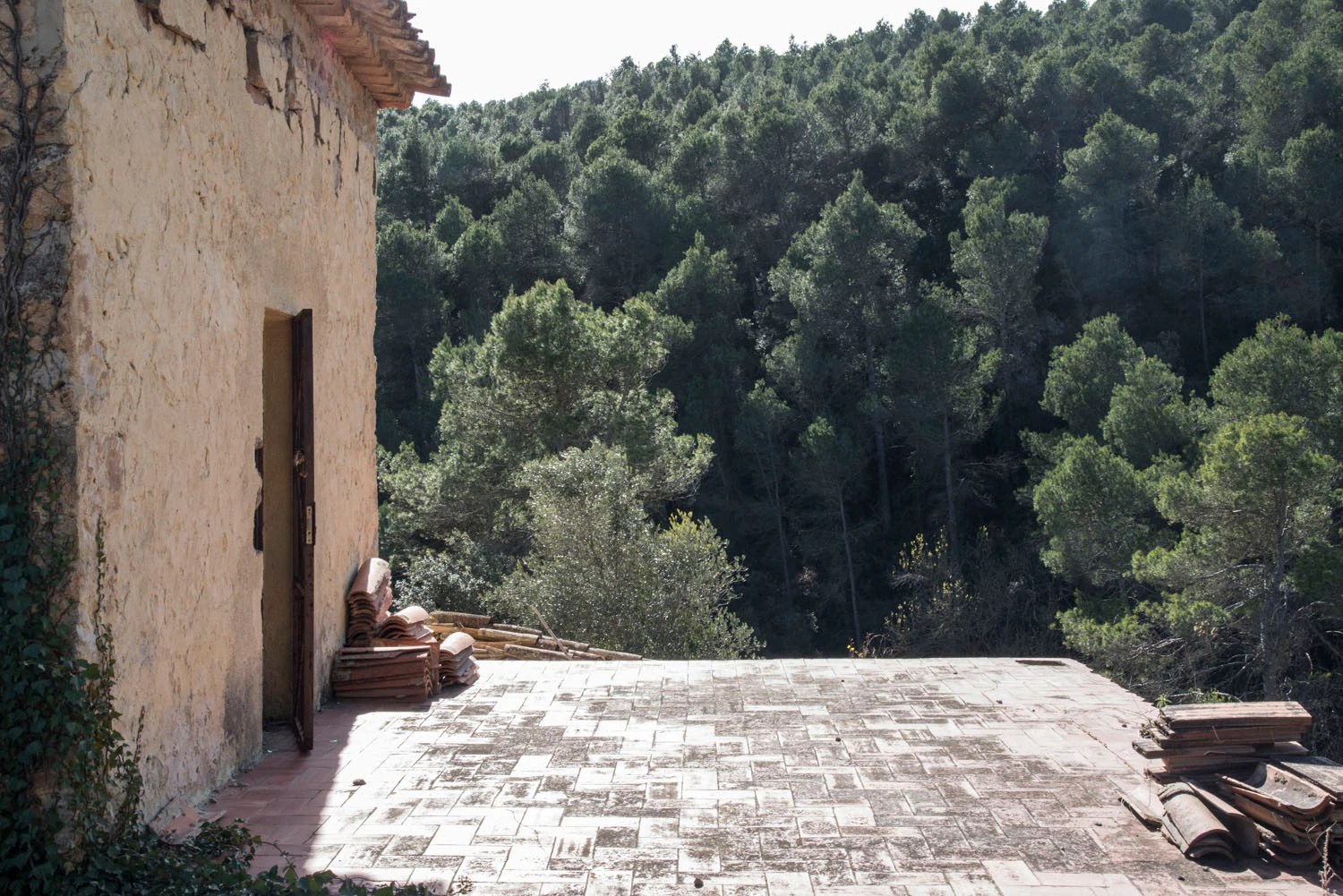 1527 - Masía en venta en el Pla de Manlleu
