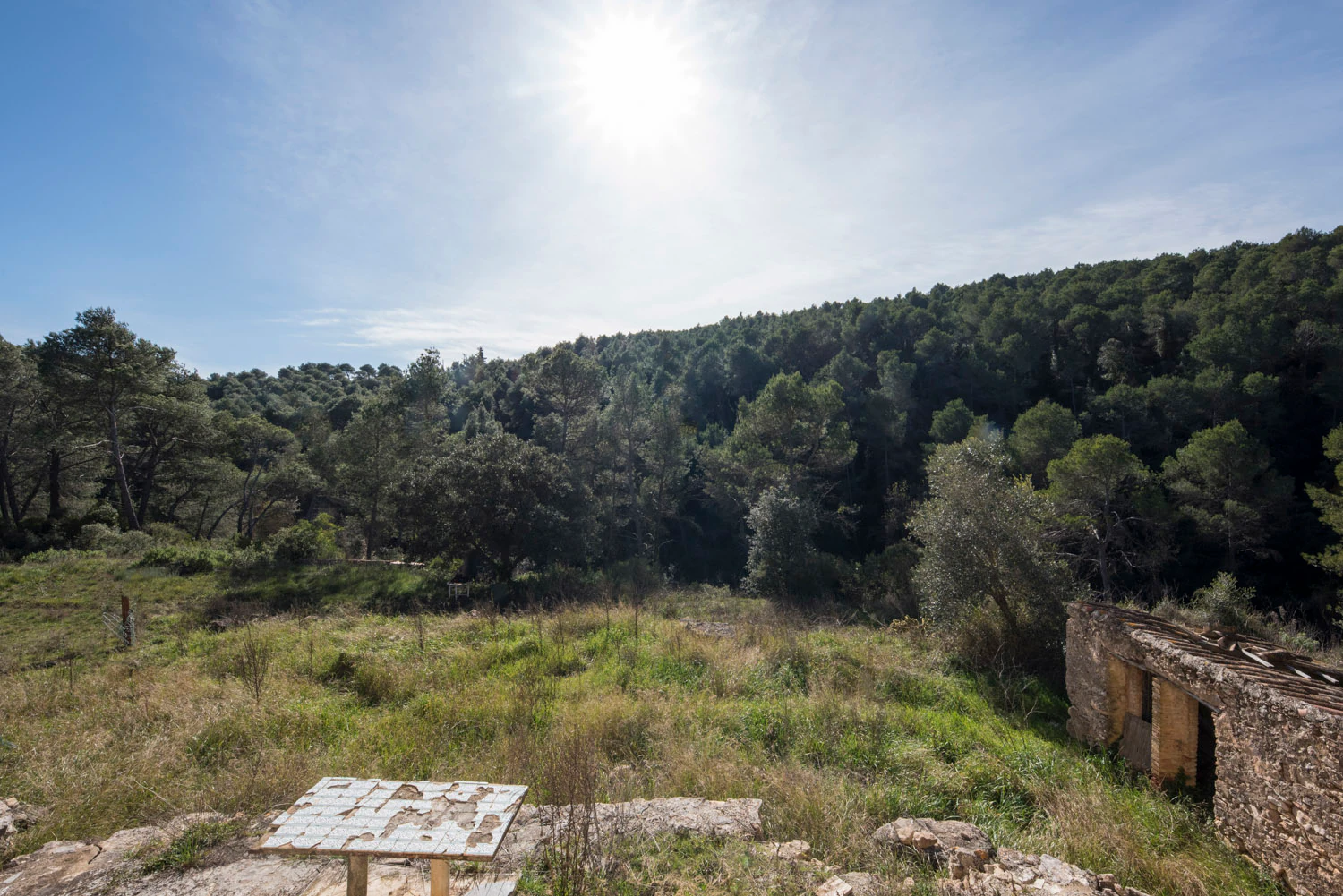 1527 - Masía en venta en el Pla de Manlleu
