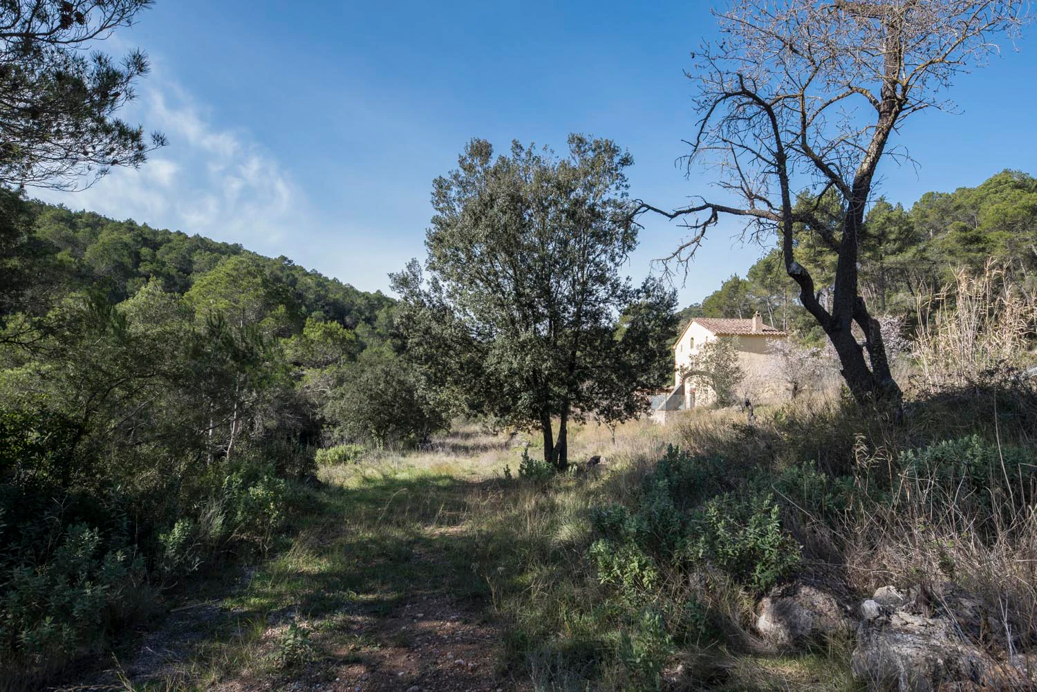 1527 - Masía en venta en el Pla de Manlleu