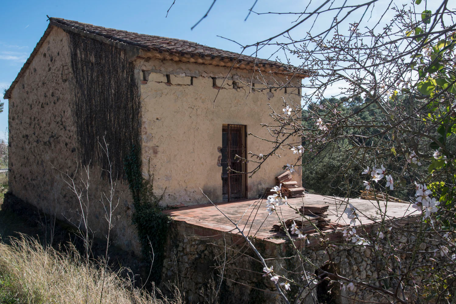 1527 - Masía en venta en el Pla de Manlleu