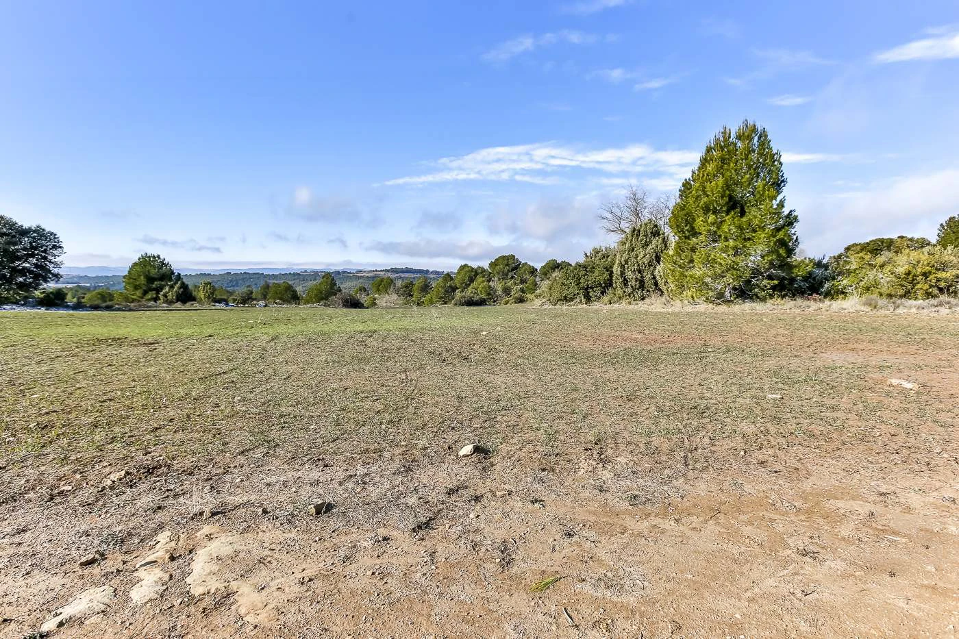 Espectacular finca rústica en venta en Rubió