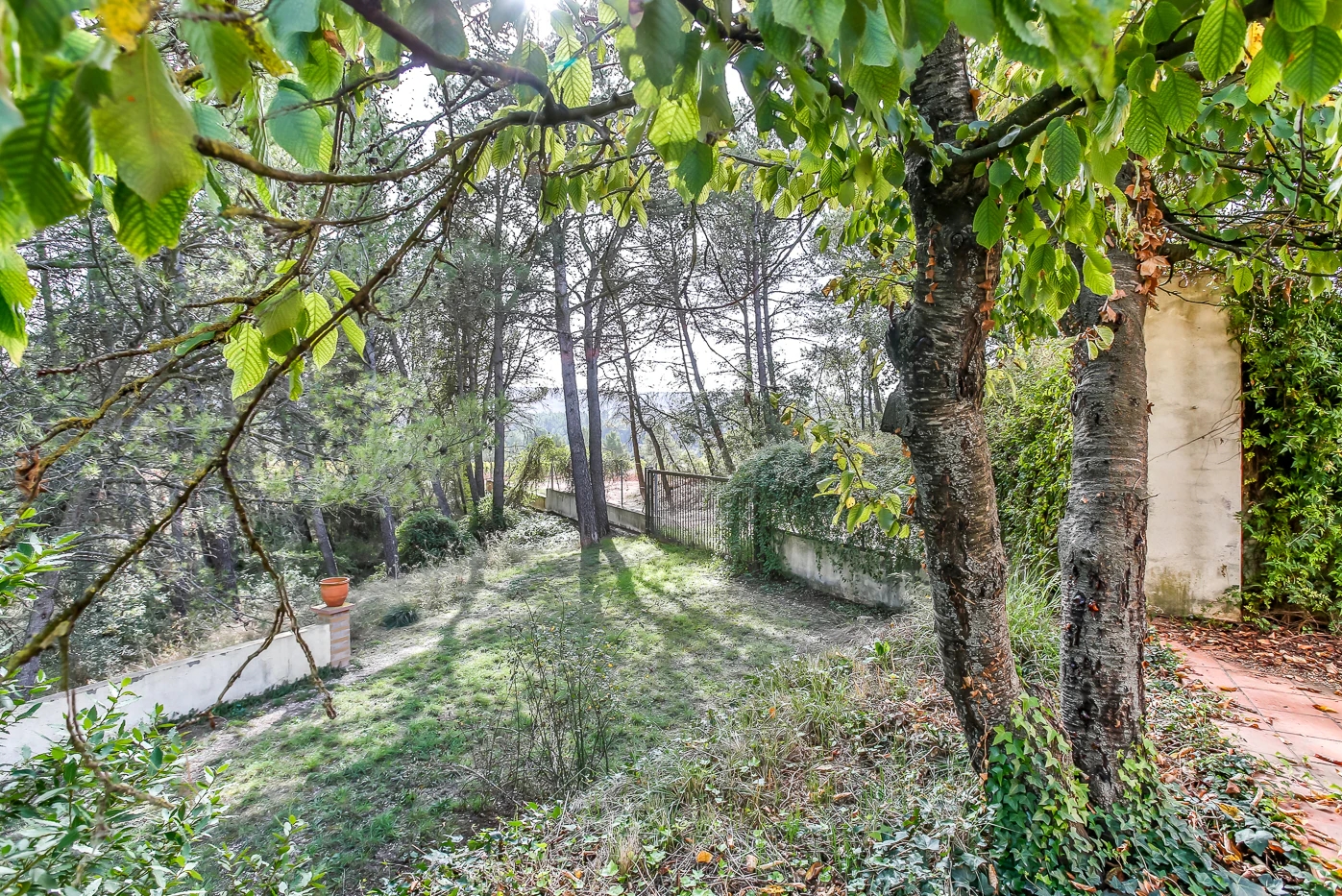 Preciosa masía restaurada con apartamento de invitados