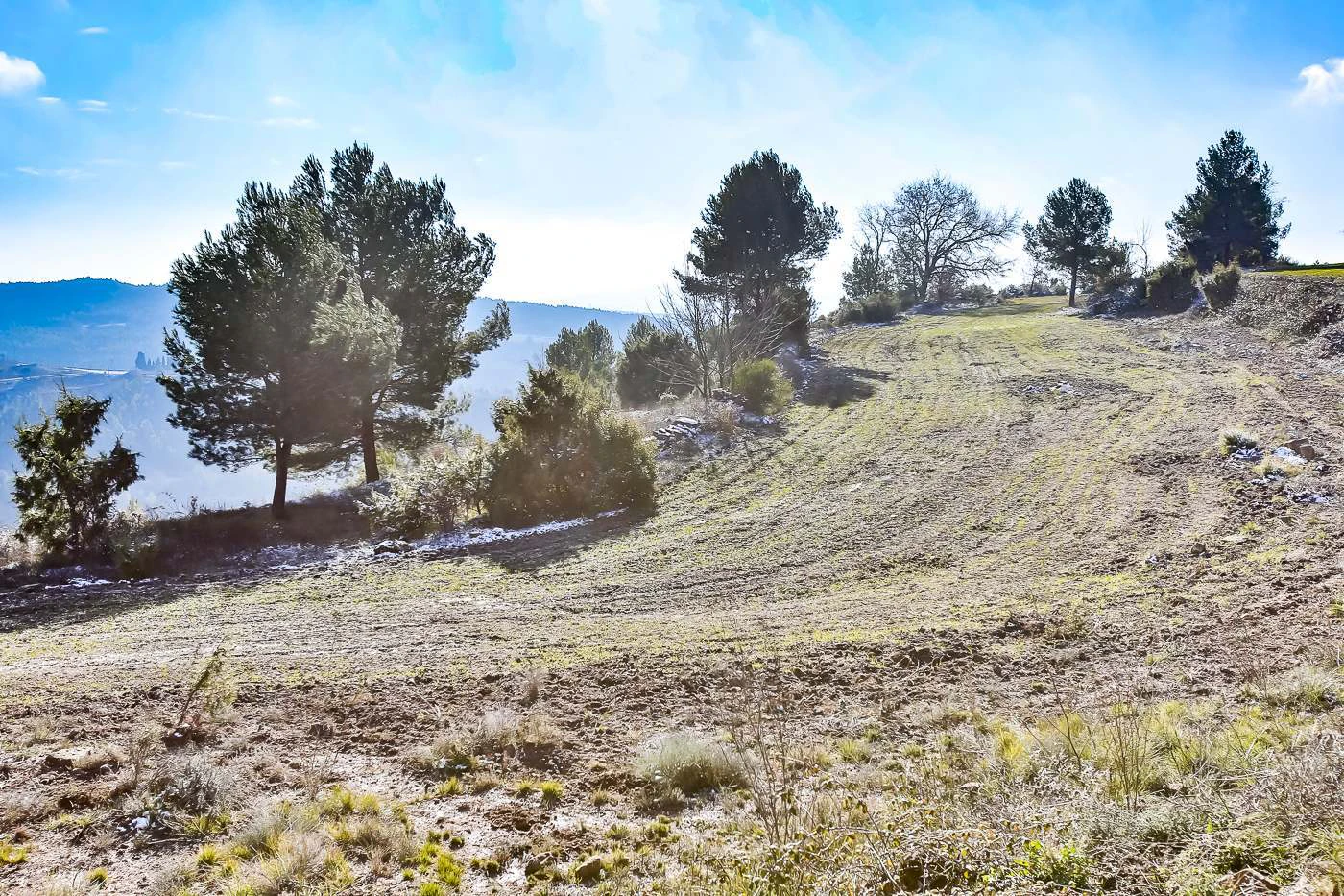 Espectacular finca rústica en venta en Rubió
