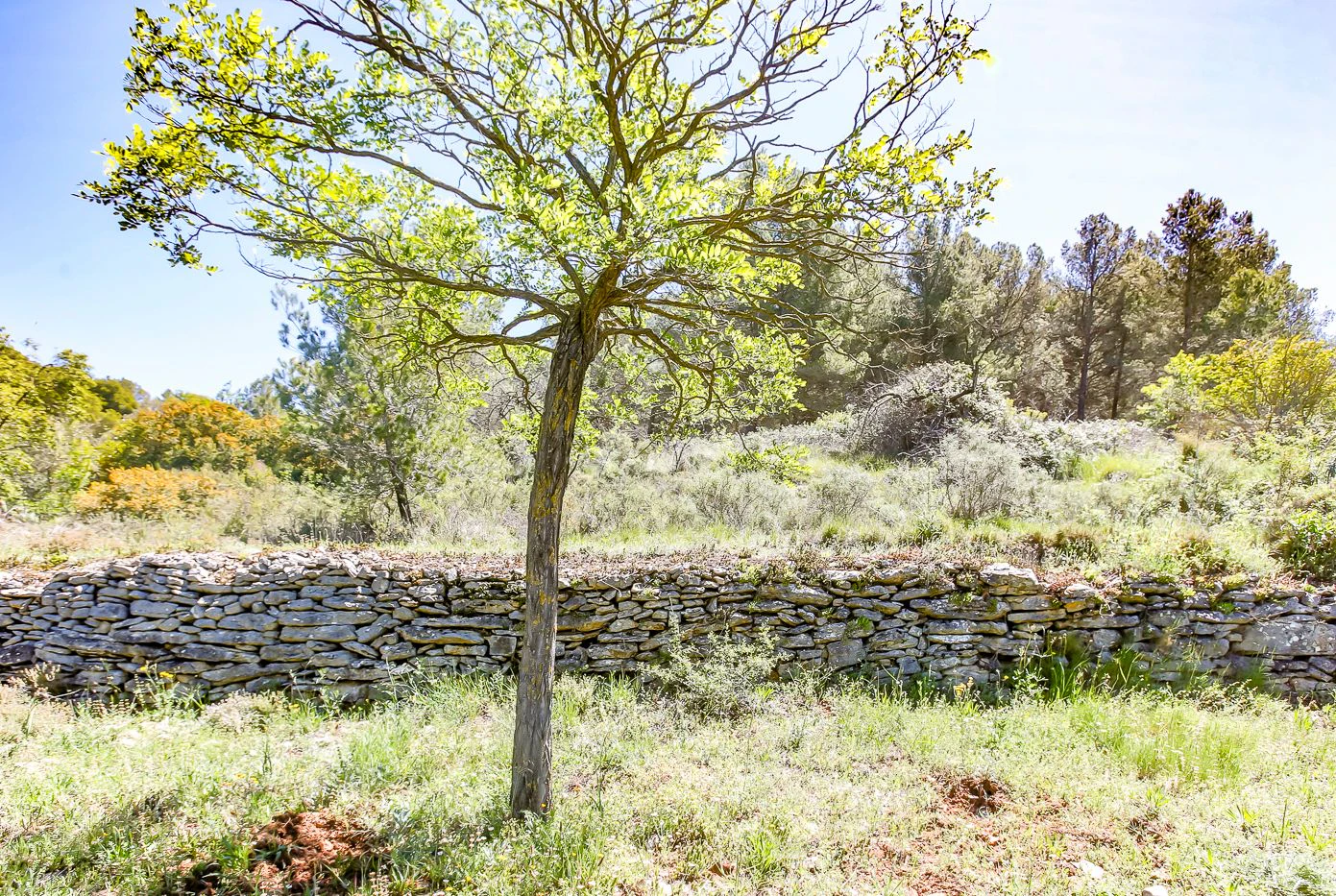 Masía con licencia turística en venta