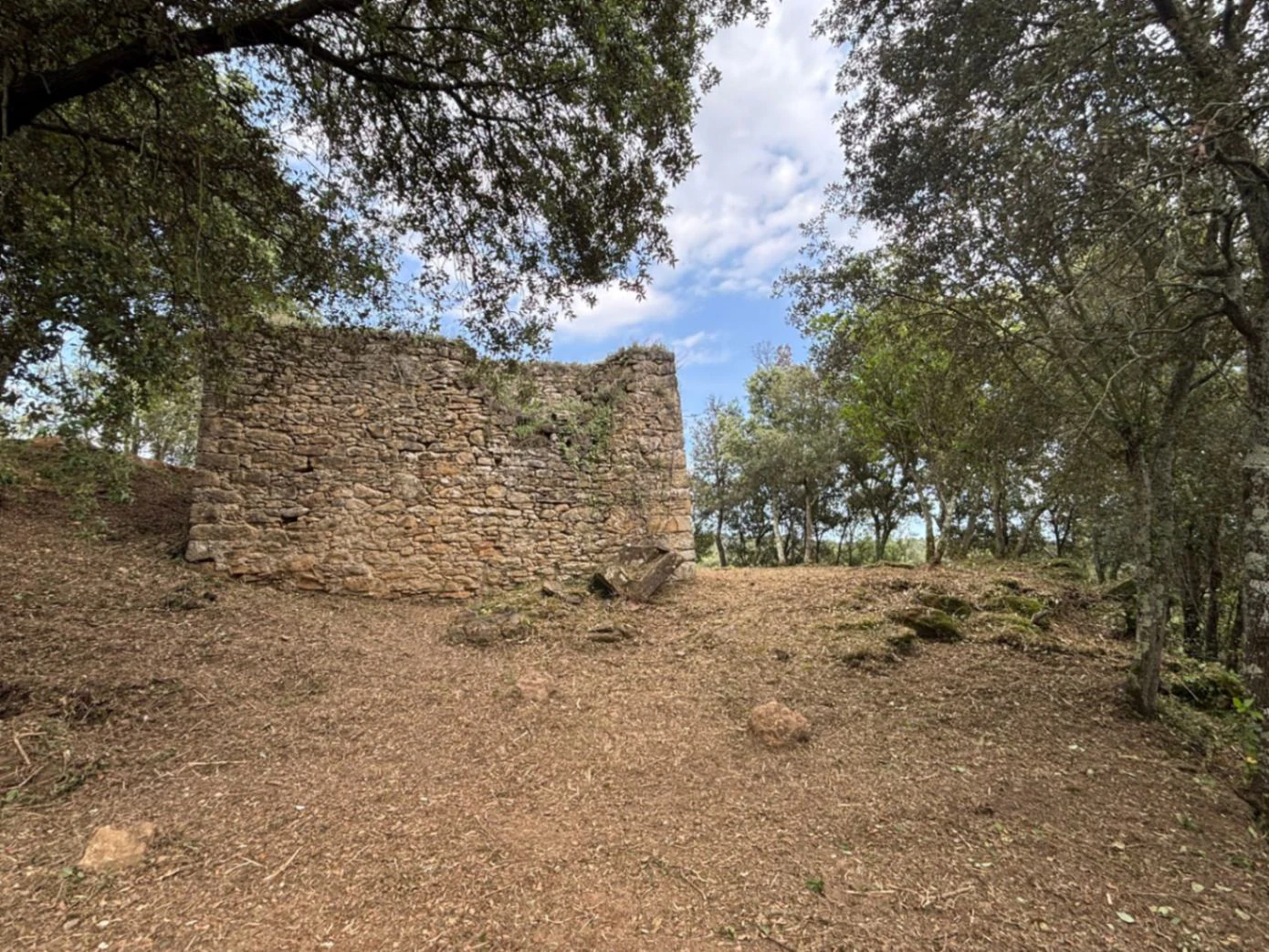 9373 - Masía en ruinas para rehabilitar como vivienda en Palol de Revardit