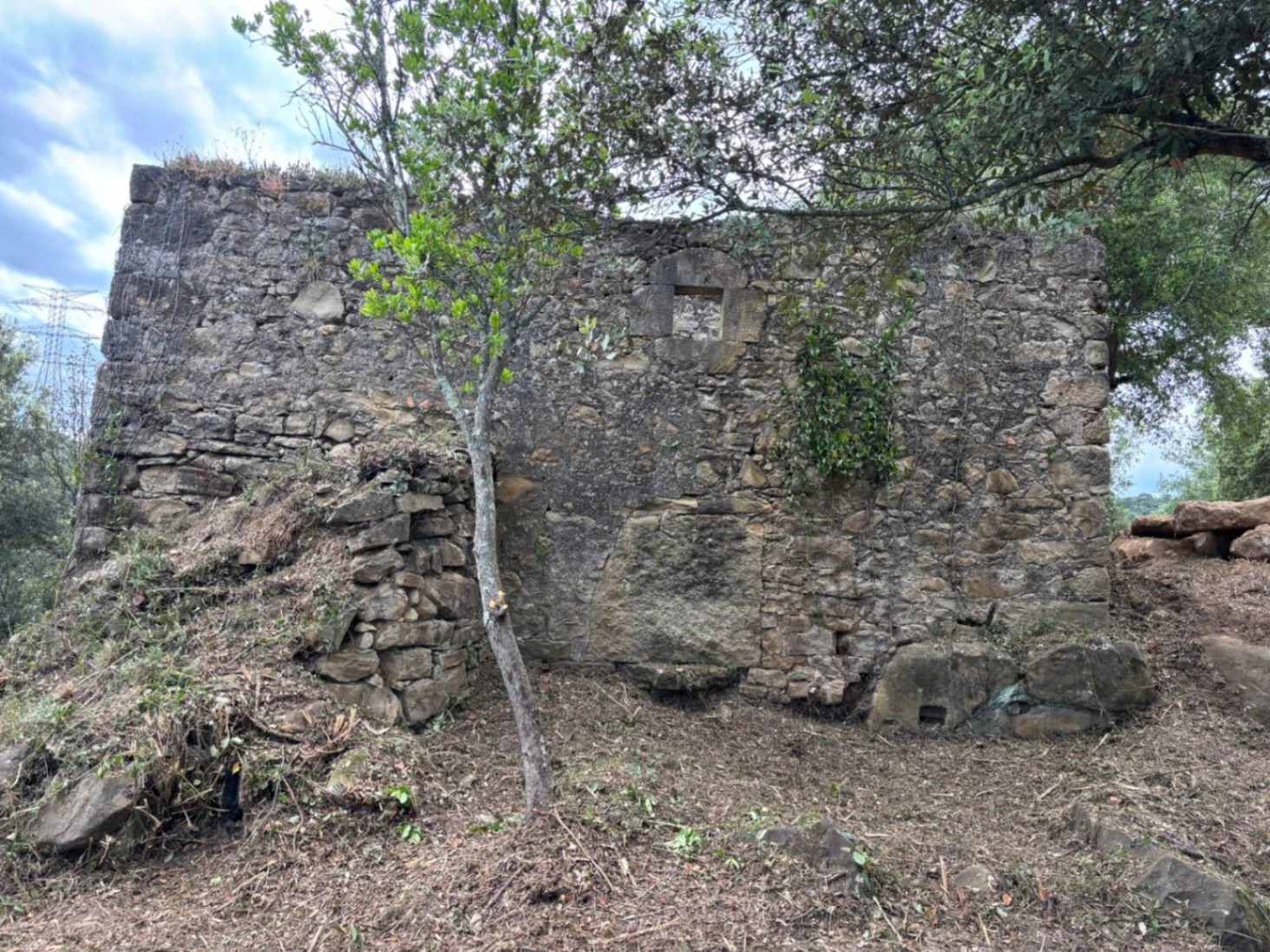 9373 - Masía en ruinas para rehabilitar como vivienda en Palol de Revardit
