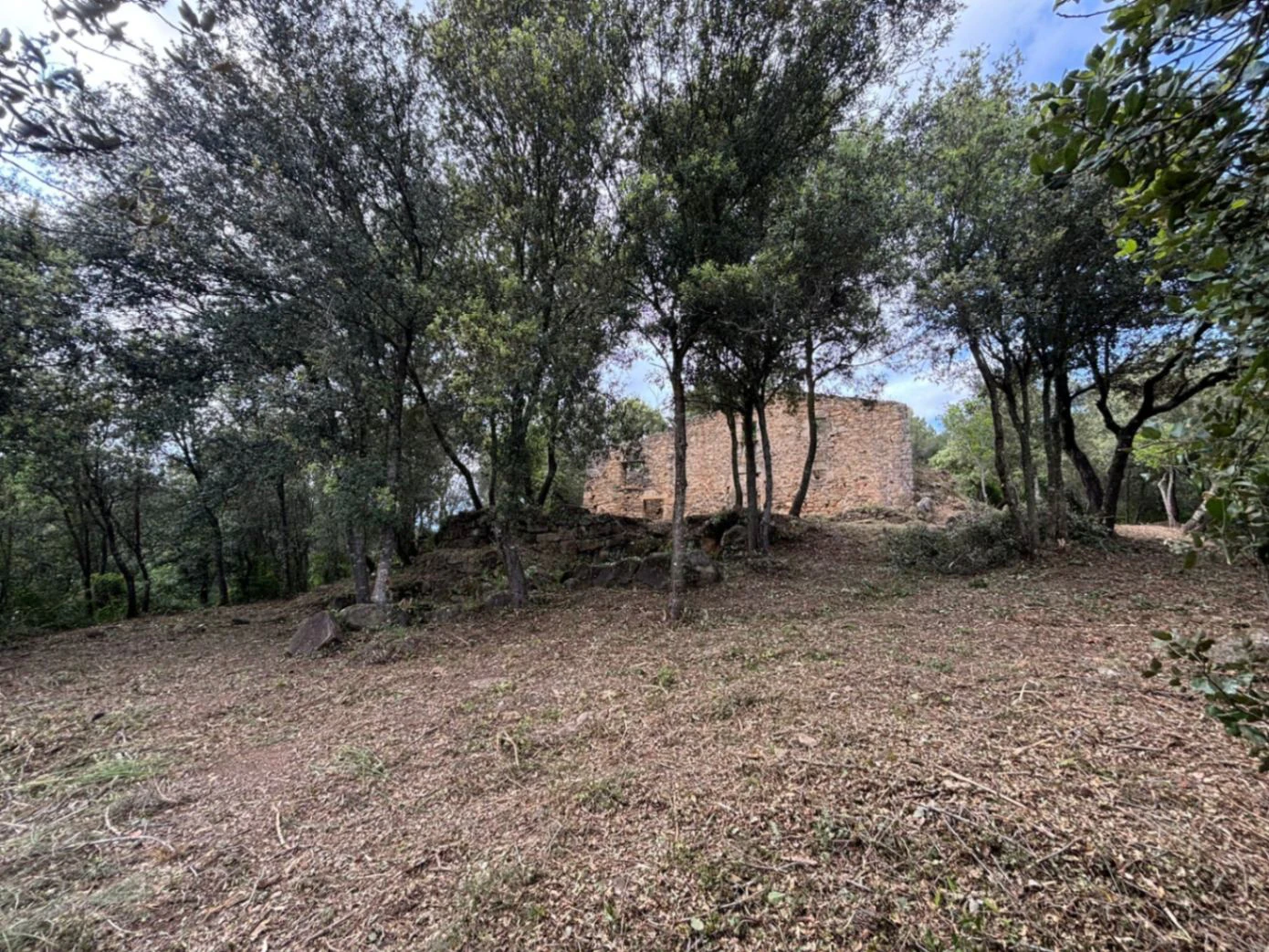 9373 - Masía en ruinas para rehabilitar como vivienda en Palol de Revardit