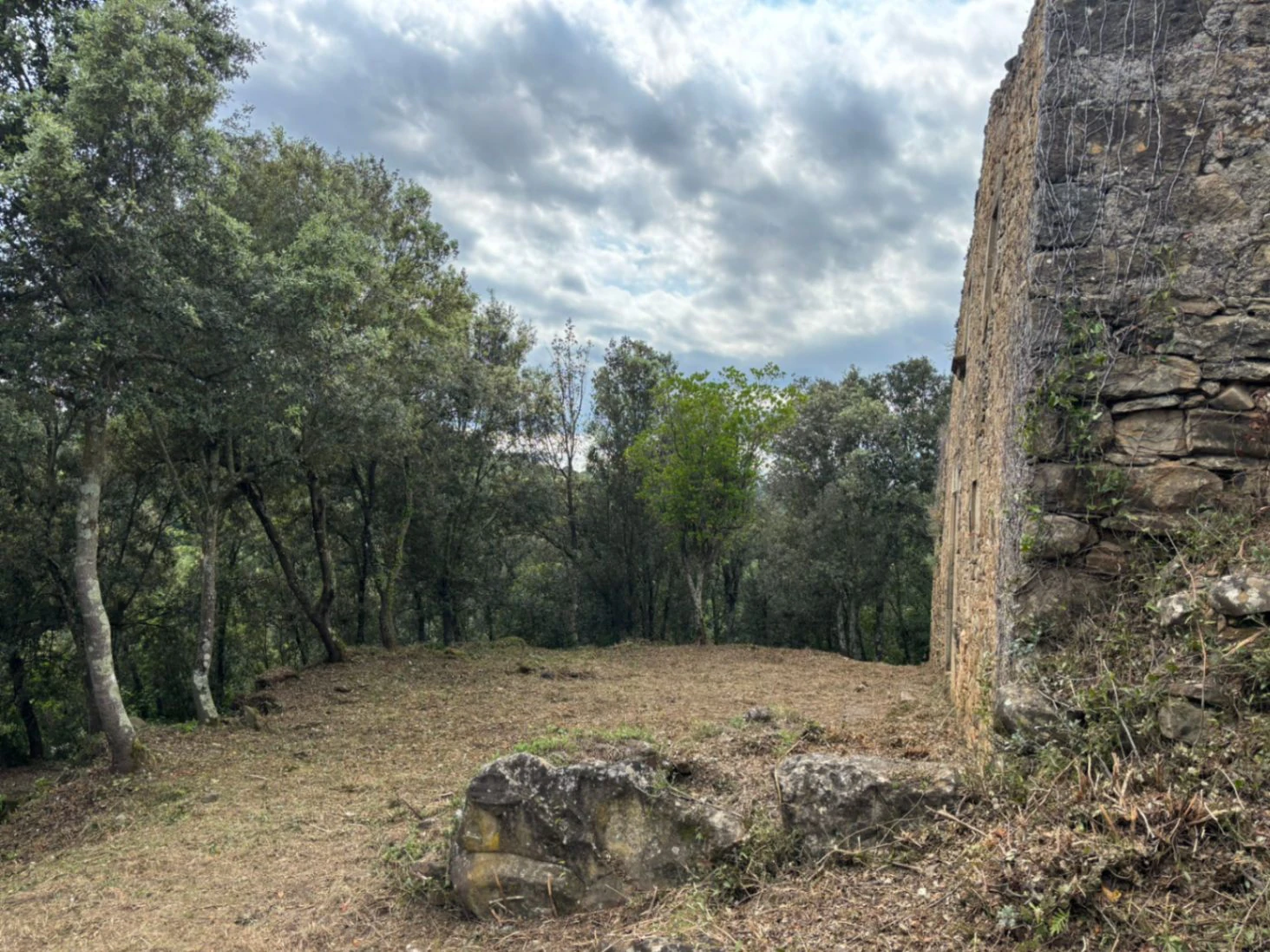 9373 - Masía en ruinas para rehabilitar como vivienda en Palol de Revardit