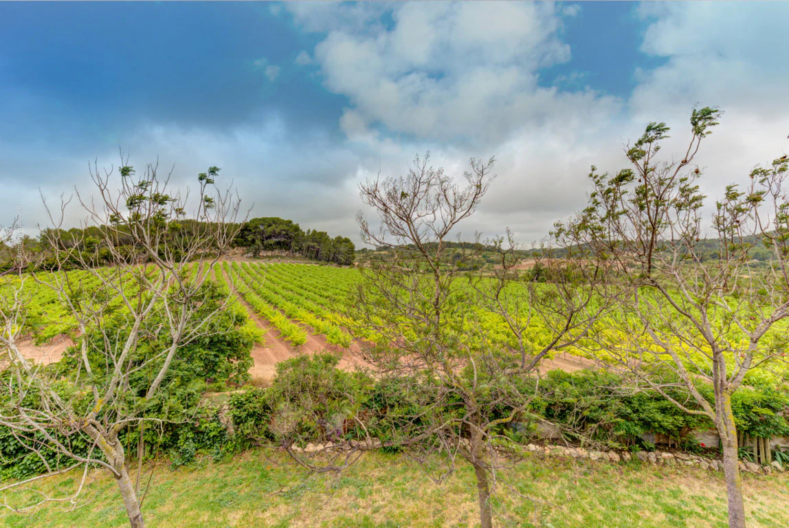 6903 - Preciosa masía en venta cerca de la playa