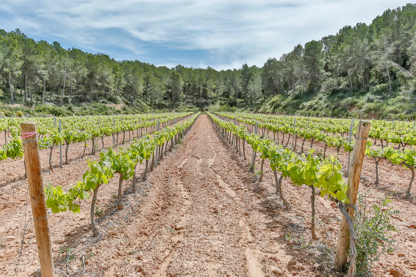 9663 - Espectacular finca rústica con masía estilo indiana