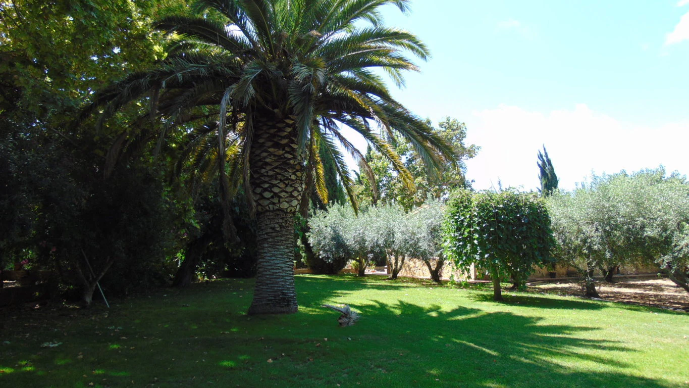 3483 - Masía en venta en Cambrils