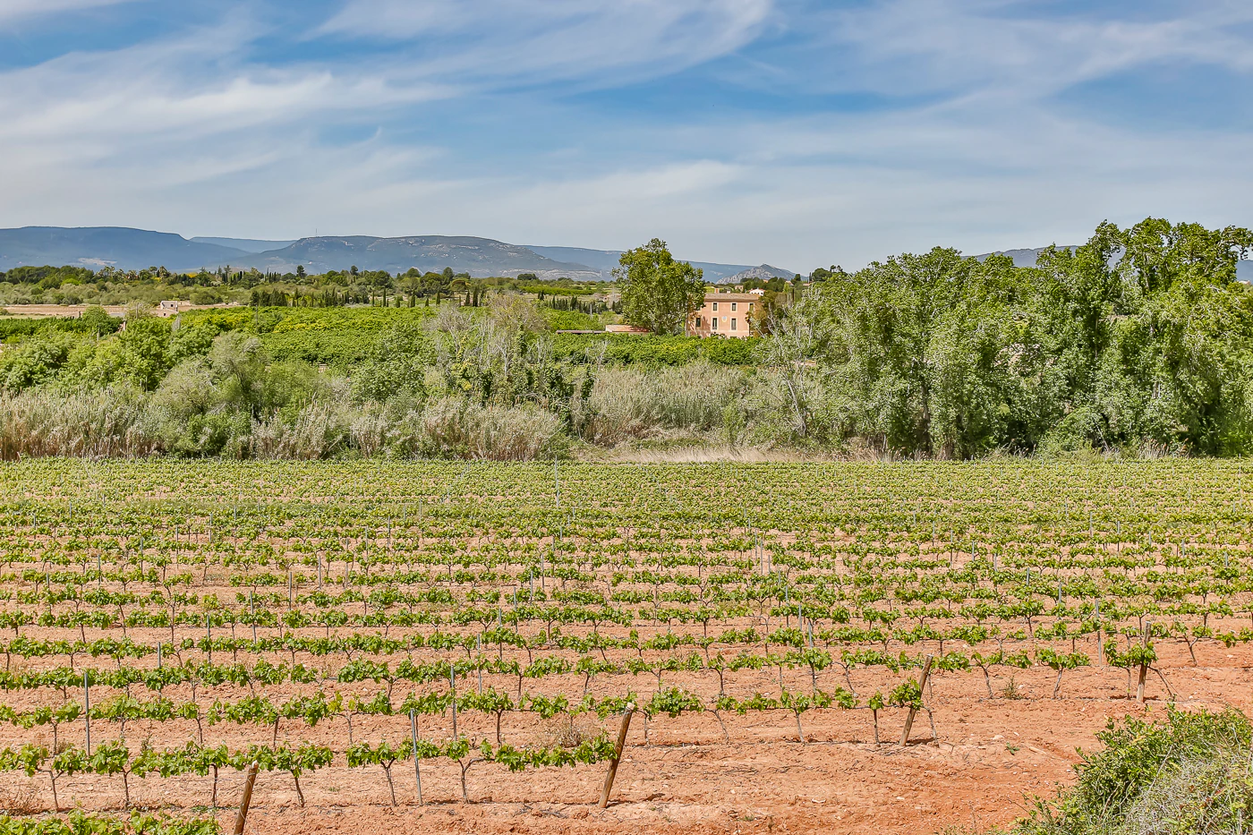 9663 - Espectacular finca rústica con masía estilo indiana